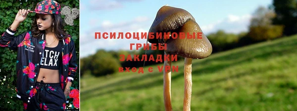 индика Волосово