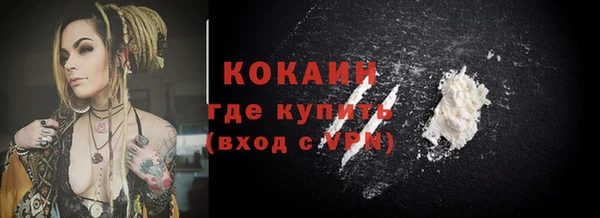 индика Волосово