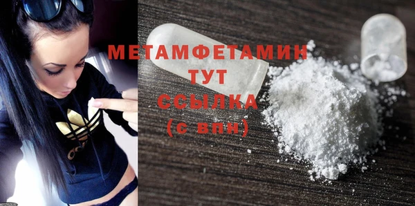 индика Волосово