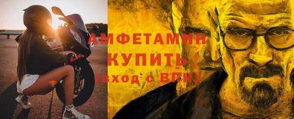 индика Волосово