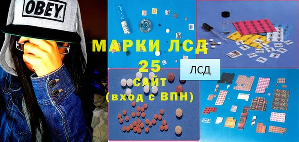 индика Волосово