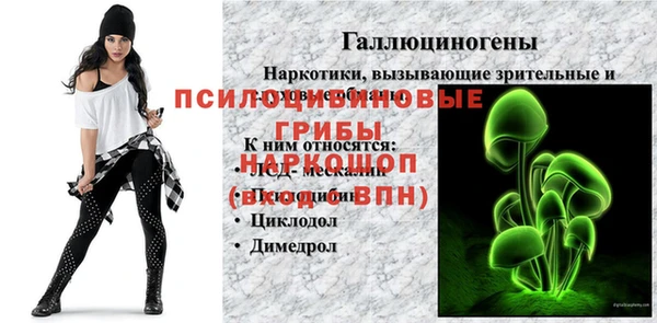 дурь Вязьма