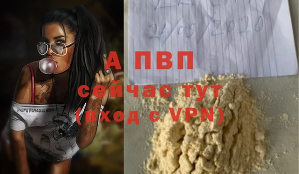 индика Волосово