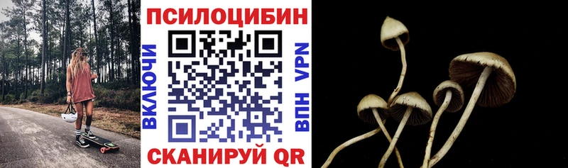Псилоцибиновые грибы GOLDEN TEACHER Купить Борисоглебск